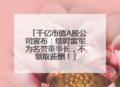 千亿市值A股公司宣布：续聘雷军为名誉董事长，不领取薪酬！