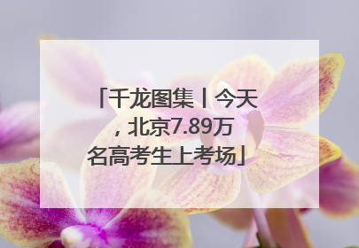 千龙图集丨今天，北京7.89万名高考生上考场