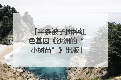 半条被子播种红色基因《沙洲的“小树苗”》出版
