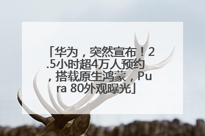华为，突然宣布！2.5小时超4万人预约，搭载原生鸿蒙，Pura 80外观曝光