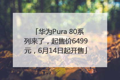 华为Pura 80系列来了，起售价6499元，6月14日起开售