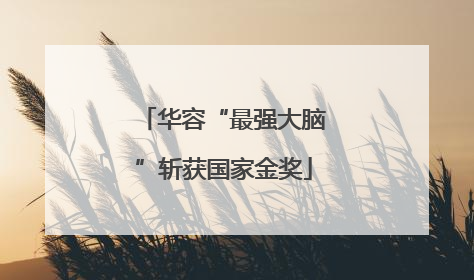 华容“最强大脑”斩获国家金奖