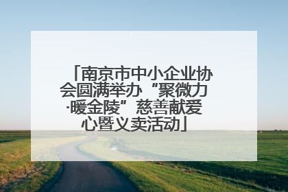 南京市中小企业协会圆满举办“聚微力·暖金陵”慈善献爱心暨义卖活动