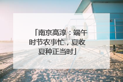 南京高淳：端午时节农事忙，夏收夏种正当时