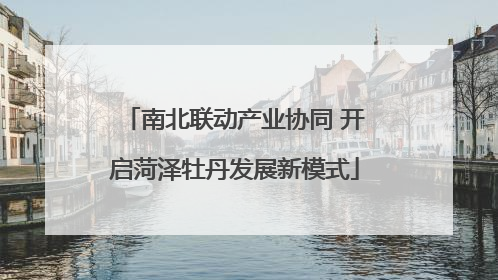 南北联动产业协同 开启菏泽牡丹发展新模式