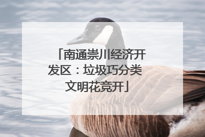 南通崇川经济开发区：垃圾巧分类 文明花竞开