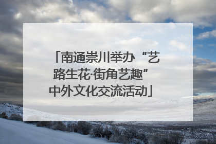 南通崇川举办“艺路生花·街角艺趣”中外文化交流活动