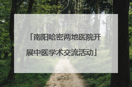 南阳哈密两地医院开展中医学术交流活动