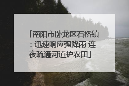 南阳市卧龙区石桥镇：迅速响应强降雨 连夜疏通河道护农田