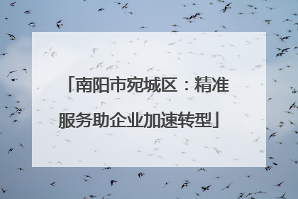 南阳市宛城区：精准服务助企业加速转型