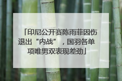 印尼公开赛陈雨菲因伤退出“内战”，国羽各单项唯男双表现差劲