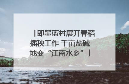 即墨蓝村展开春稻插秧工作 千亩盐碱地变“江南水乡”