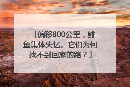 偏移800公里，鲱鱼集体失忆。它们为何找不到回家的路？