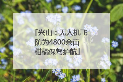 兴山：无人机飞防为4800余亩柑橘保驾护航