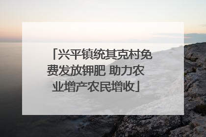 兴平镇统其克村免费发放钾肥 助力农业增产农民增收