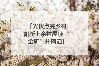 光伏点亮乡村 阳新上余村屋顶“金矿”并网记