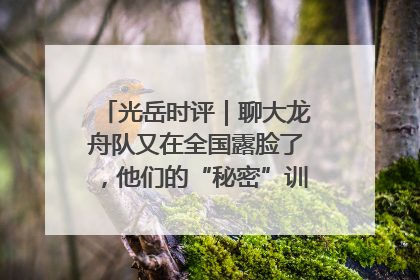 光岳时评｜聊大龙舟队又在全国露脸了，他们的“秘密”训练基地不是秘密！