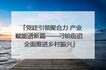 党建引领聚合力 产业赋能谱新篇——刁镇街道全面推进乡村振兴