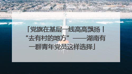 党旗在基层一线高高飘扬丨“去有村的地方”——湖南有一群青年党员这样选择