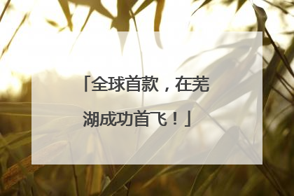 全球首款，在芜湖成功首飞！