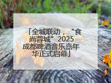 全城联动，“食尚蓉城”2025成都啤酒音乐嘉年华正式启幕