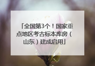 全国第3个！国家重点地区考古标本库房（山东）建成启用