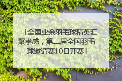 全国业余羽毛球精英汇聚孝感，第二届全国羽毛球邀请赛10日开赛