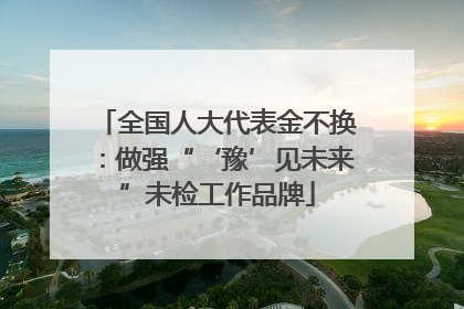 全国人大代表金不换：做强“‘豫’见未来”未检工作品牌