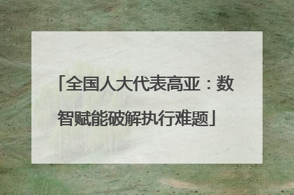 全国人大代表高亚：数智赋能破解执行难题