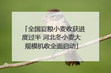 全国夏粮小麦收获进度过半 河北冬小麦大规模机收全面启动