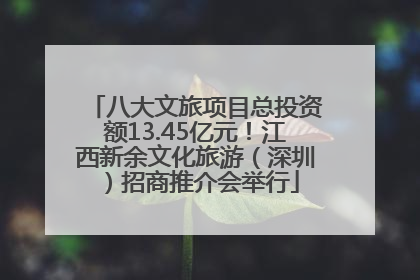 八大文旅项目总投资额13.45亿元！江西新余文化旅游（深圳）招商推介会举行
