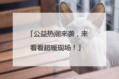 公益热潮来袭，来看看超暖现场！