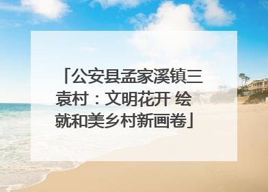 公安县孟家溪镇三袁村：文明花开 绘就和美乡村新画卷