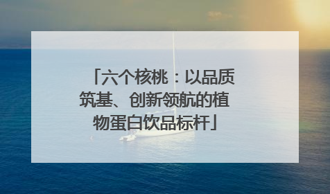 六个核桃：以品质筑基、创新领航的植物蛋白饮品标杆