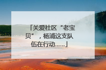 关爱社区“老宝贝”，杨浦这支队伍在行动……