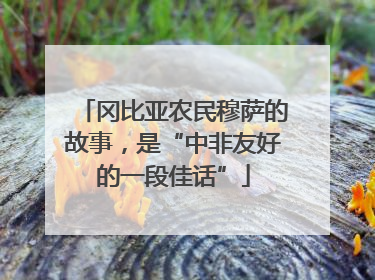 冈比亚农民穆萨的故事，是“中非友好的一段佳话”