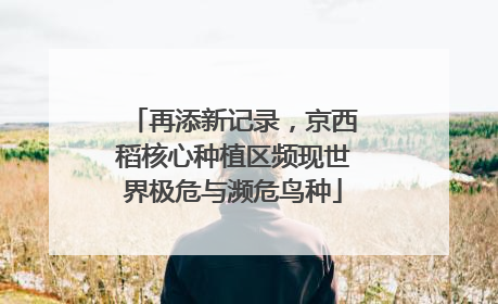 再添新记录，京西稻核心种植区频现世界极危与濒危鸟种
