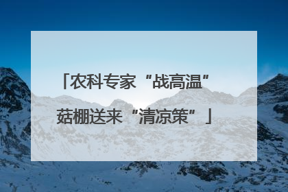 农科专家“战高温” 菇棚送来“清凉策”