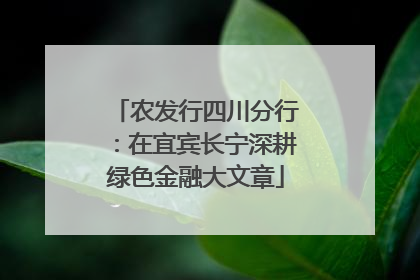 农发行四川分行：在宜宾长宁深耕绿色金融大文章