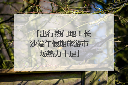 出行热门地！长沙端午假期旅游市场热力十足