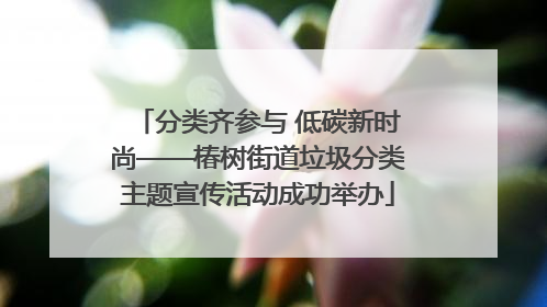 分类齐参与 低碳新时尚——椿树街道垃圾分类主题宣传活动成功举办