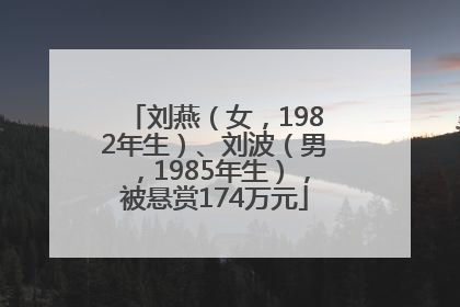 刘燕（女，1982年生）、刘波（男，1985年生），被悬赏174万元
