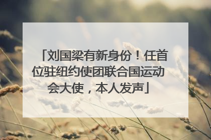 刘国梁有新身份！任首位驻纽约使团联合国运动会大使，本人发声