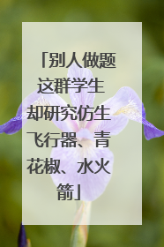 别人做题 这群学生却研究仿生飞行器、青花椒、水火箭