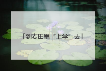 到麦田里“上学”去