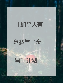 加拿大有意参与“金穹”计划