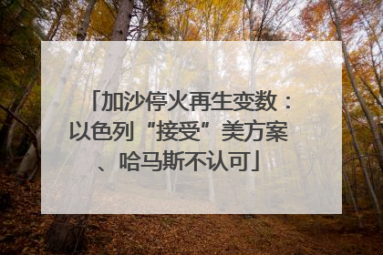 加沙停火再生变数：以色列“接受”美方案、哈马斯不认可