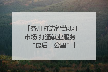 务川打造智慧零工市场 打通就业服务“最后一公里”