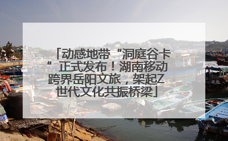 动感地带“洞庭谷卡”正式发布！湖南移动跨界岳阳文旅，架起Z世代文化共振桥梁