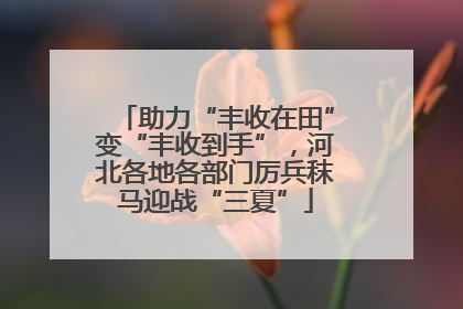 助力“丰收在田”变“丰收到手”，河北各地各部门厉兵秣马迎战“三夏”
